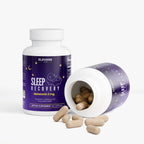 Sleep Recovery