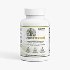 Prosterion