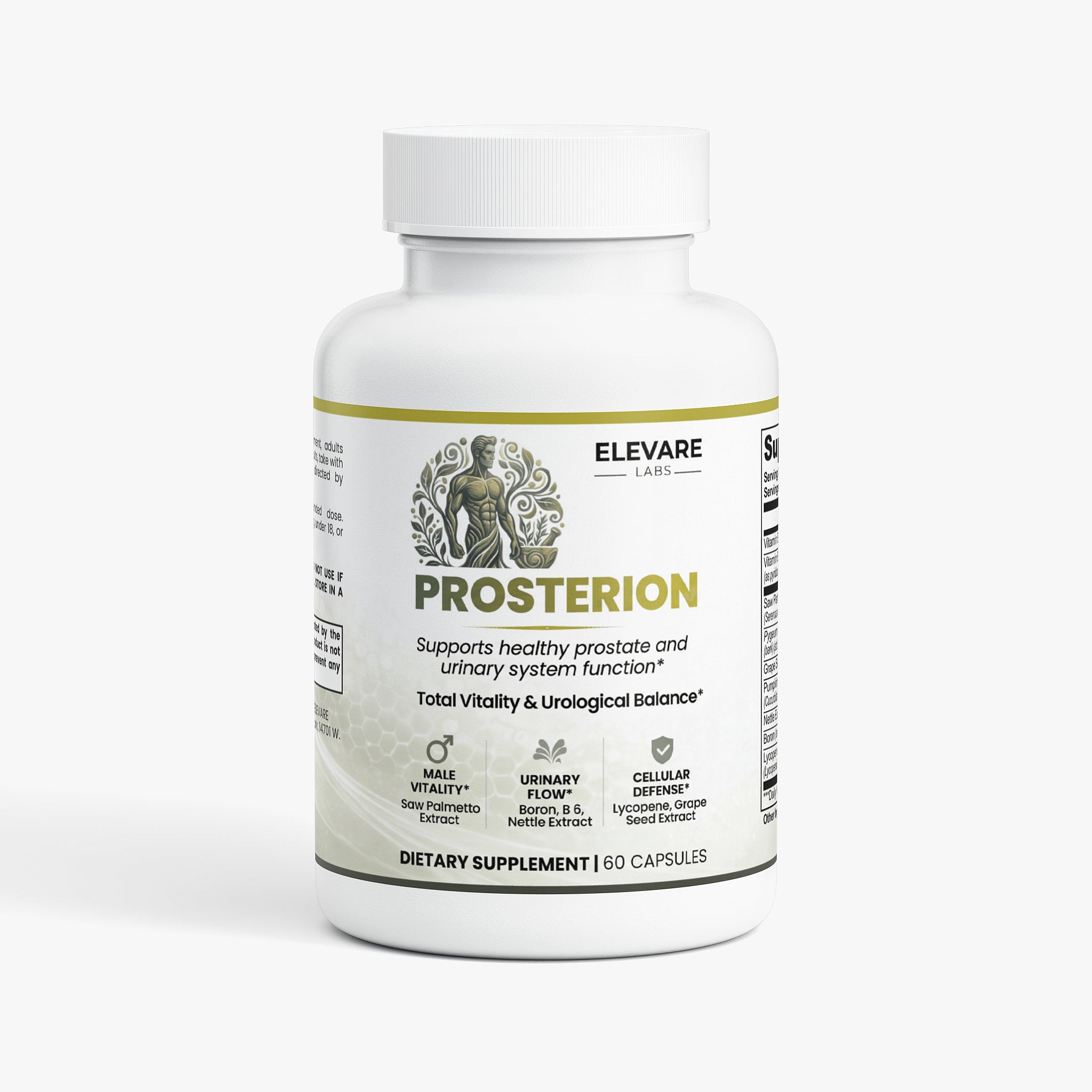 Prosterion