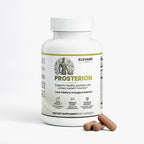 Prosterion