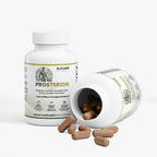 Prosterion