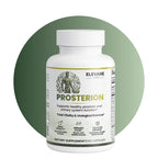 Prosterion
