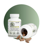 Prosterion