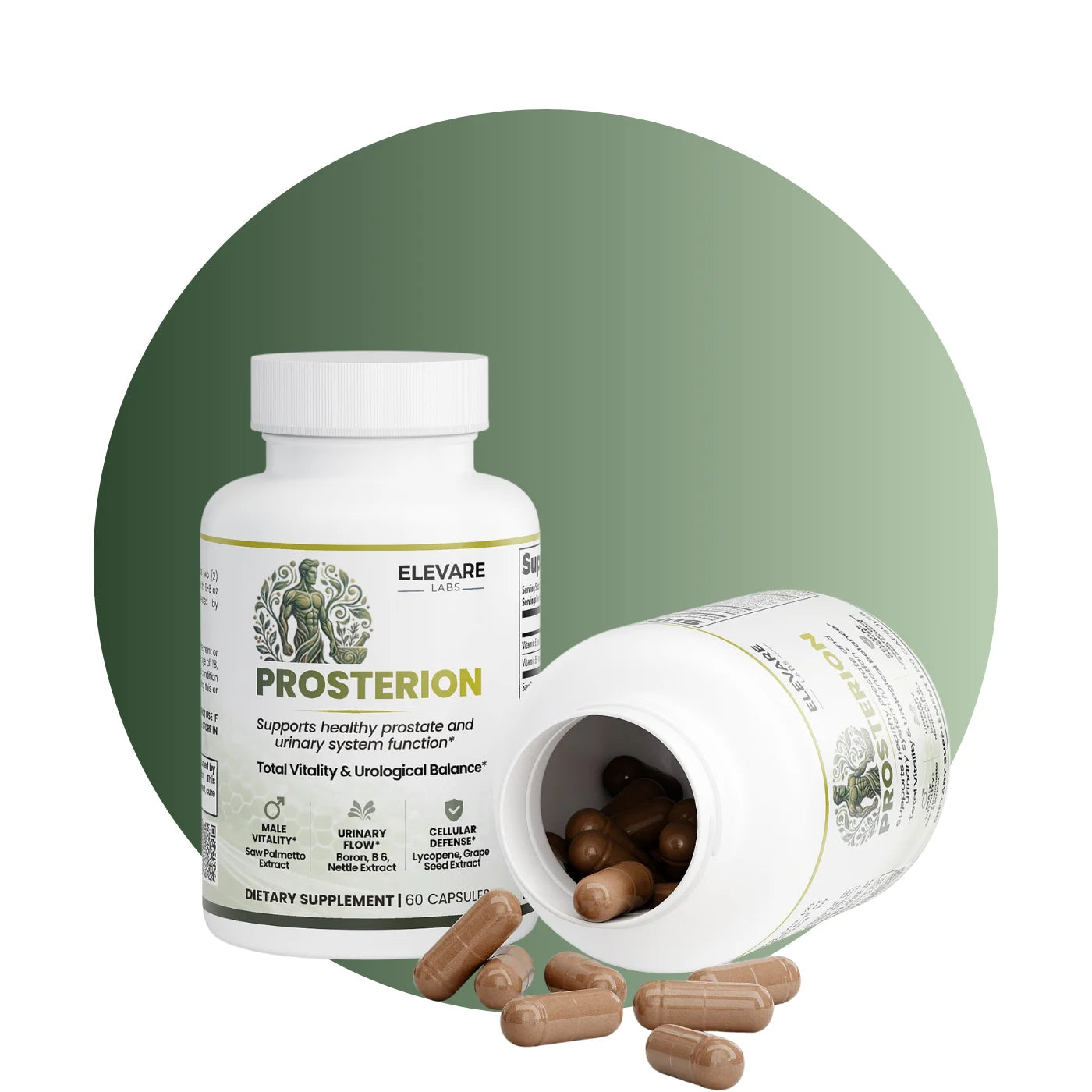 Prosterion
